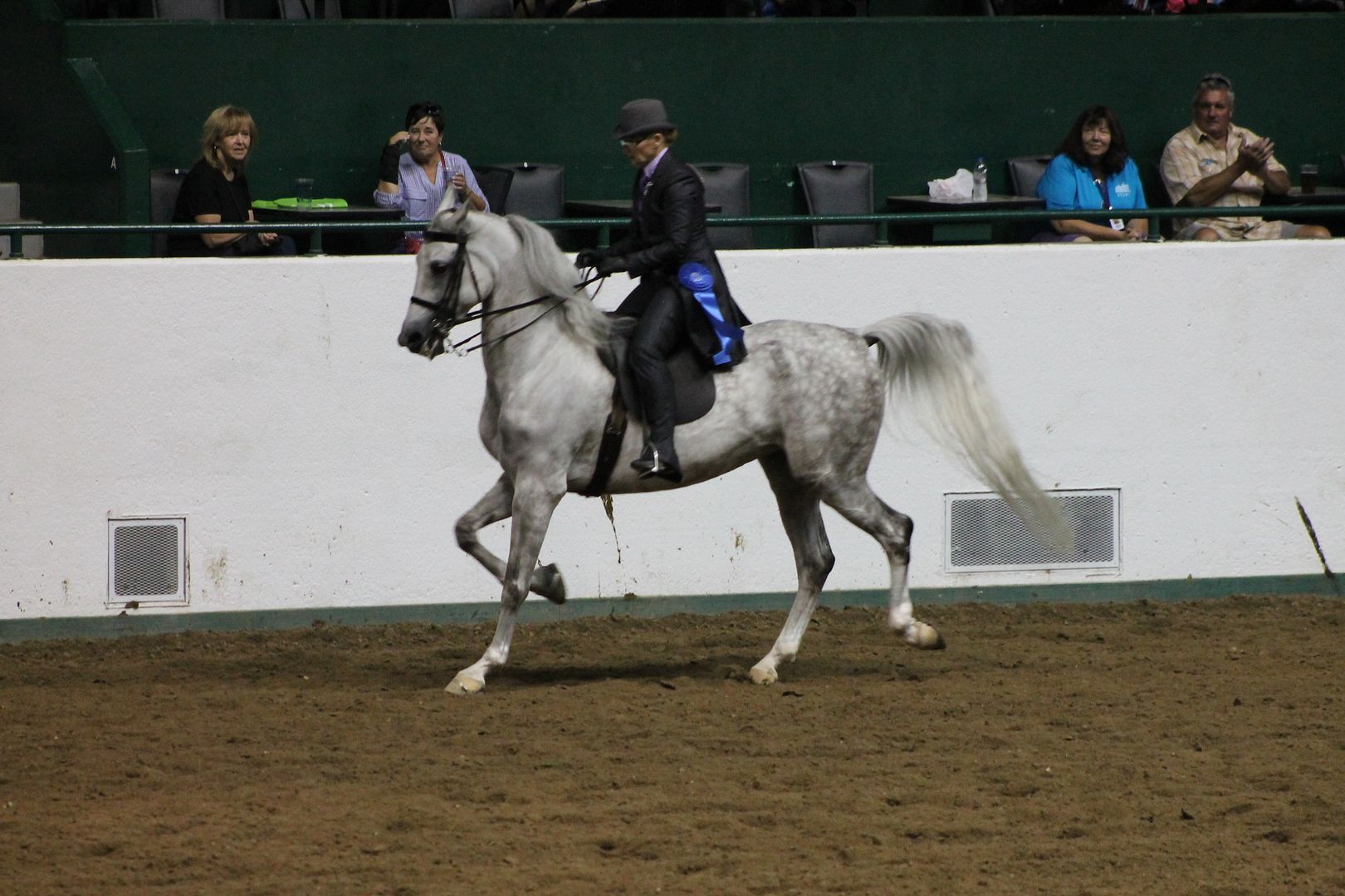  photo 113_zps6sxidfx2.jpg