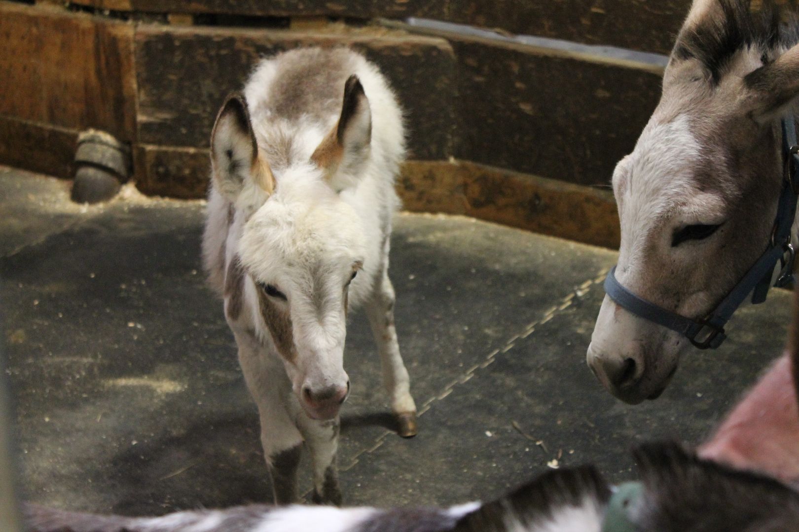  photo 132_zpsasdnqf9z.jpg