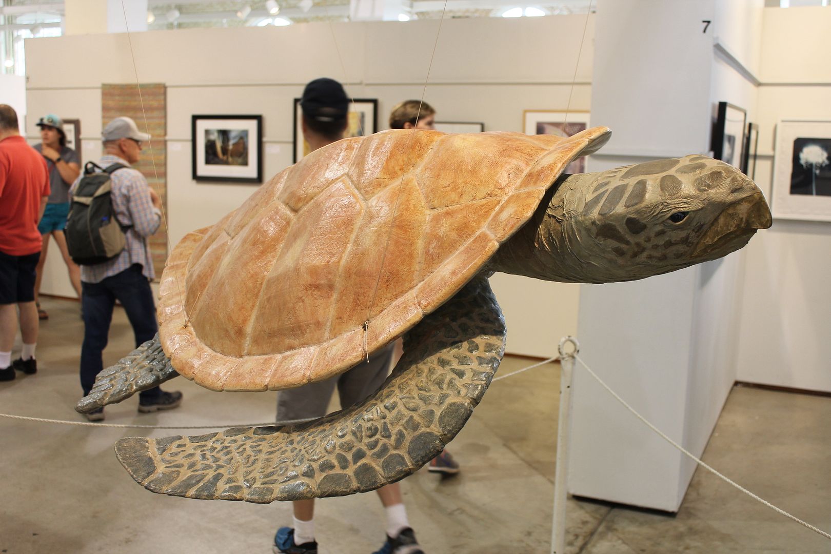  photo 171_zpsupv6dtro.jpg