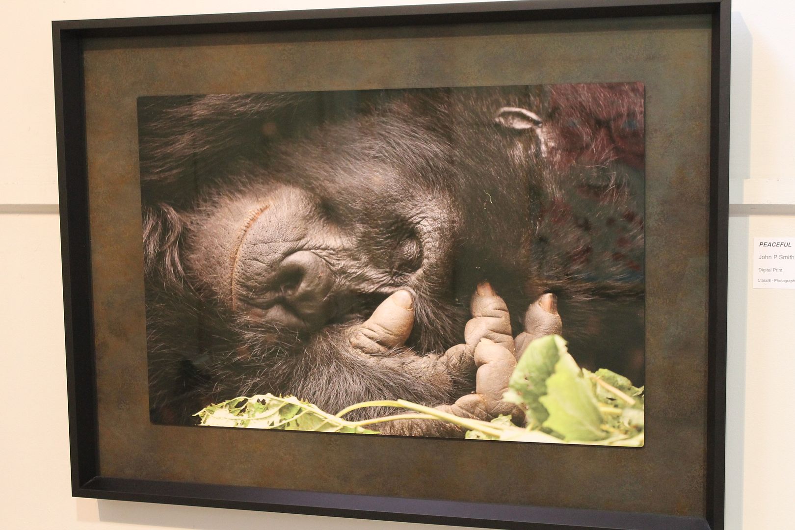  photo 175_zpshj5a3gkm.jpg