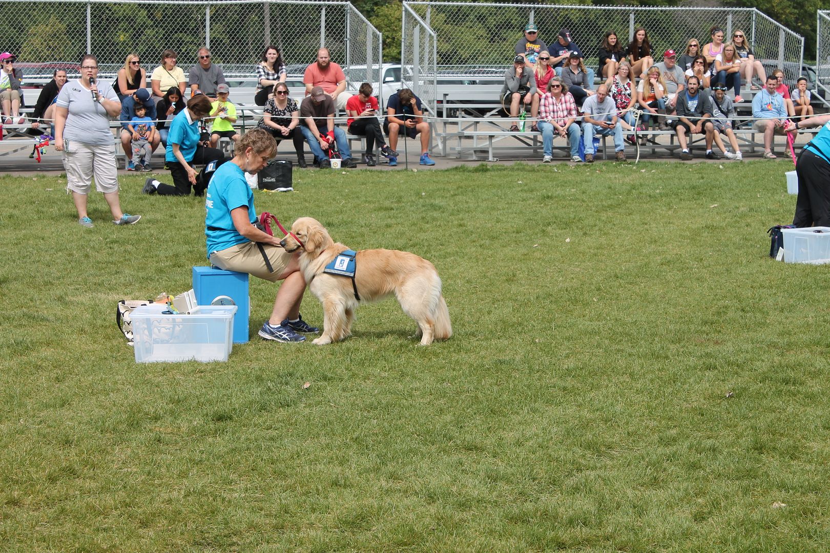  photo 187_zpsfcf98xaa.jpg