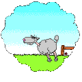 th_RCovca-cool.gif